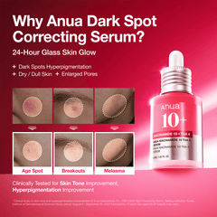 Niacinamide 10 TXA 4 Serum for Brightening and Dark Spots